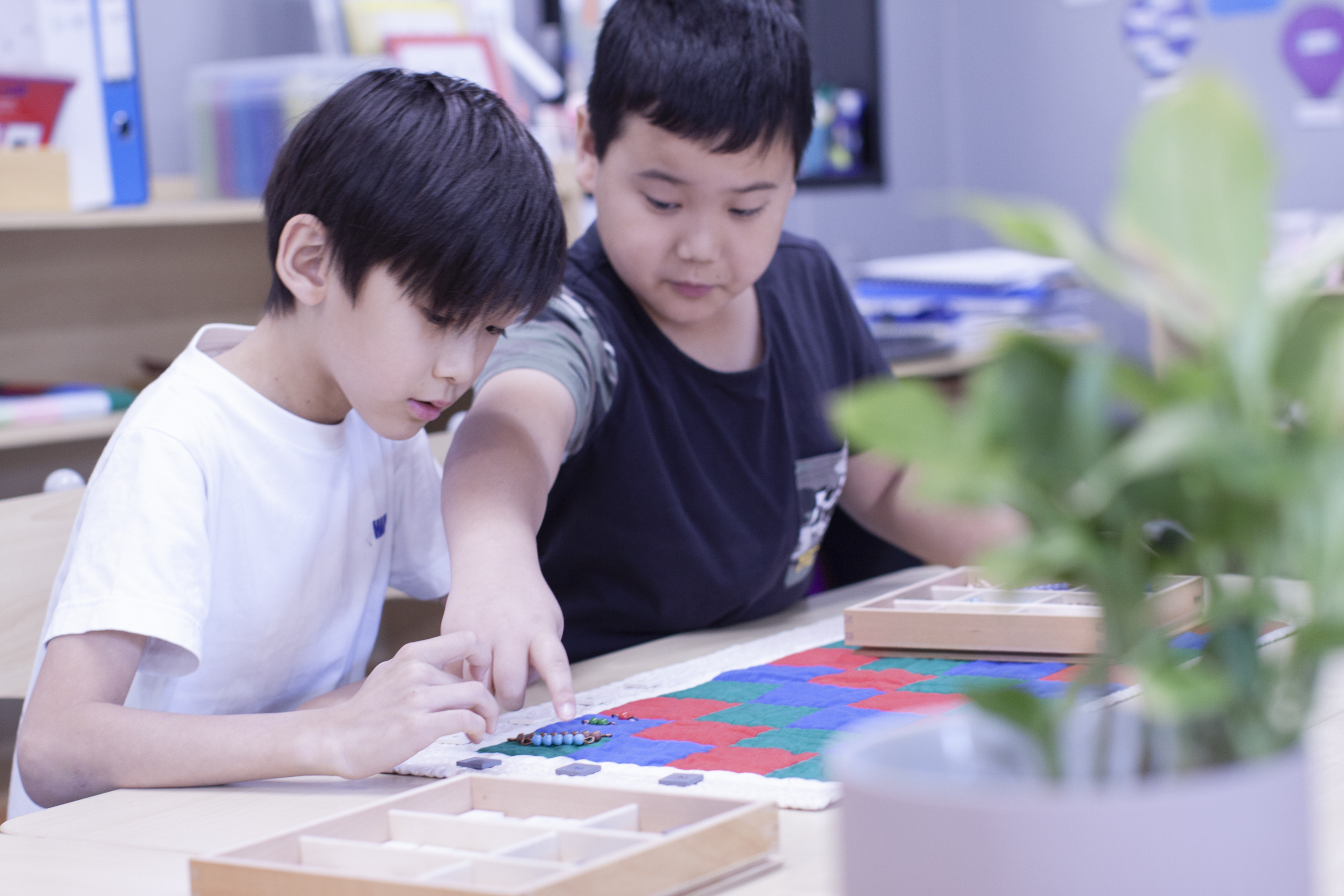 about blue gum montessori school